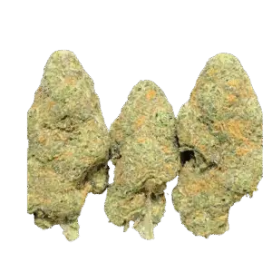 Blueberry Yogurt - Hybrid, Indica